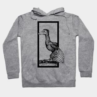 Archie the Archaeopteryx Hoodie